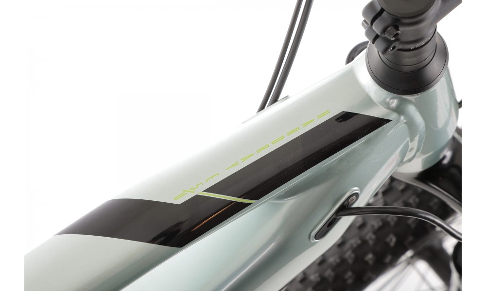 Rower górski elektryczny R-Raymon HardRay E 5.0 29 Yamaha - zielono-czarny