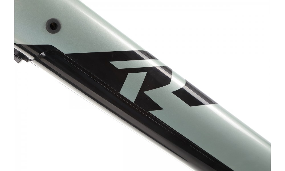 Rower górski elektryczny R-Raymon HardRay E 5.0 29 Yamaha - zielono-czarny