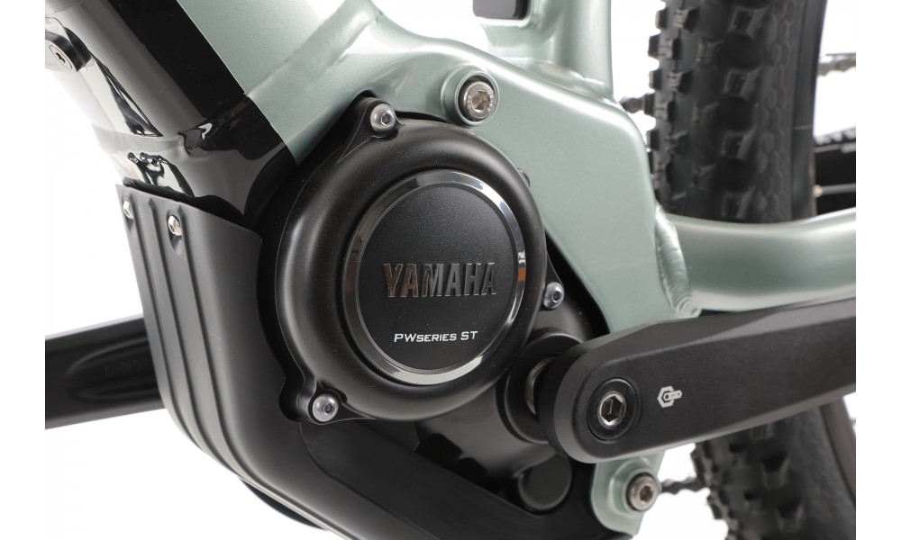 Rower górski elektryczny R-Raymon HardRay E 5.0 29 Yamaha - zielono-czarny