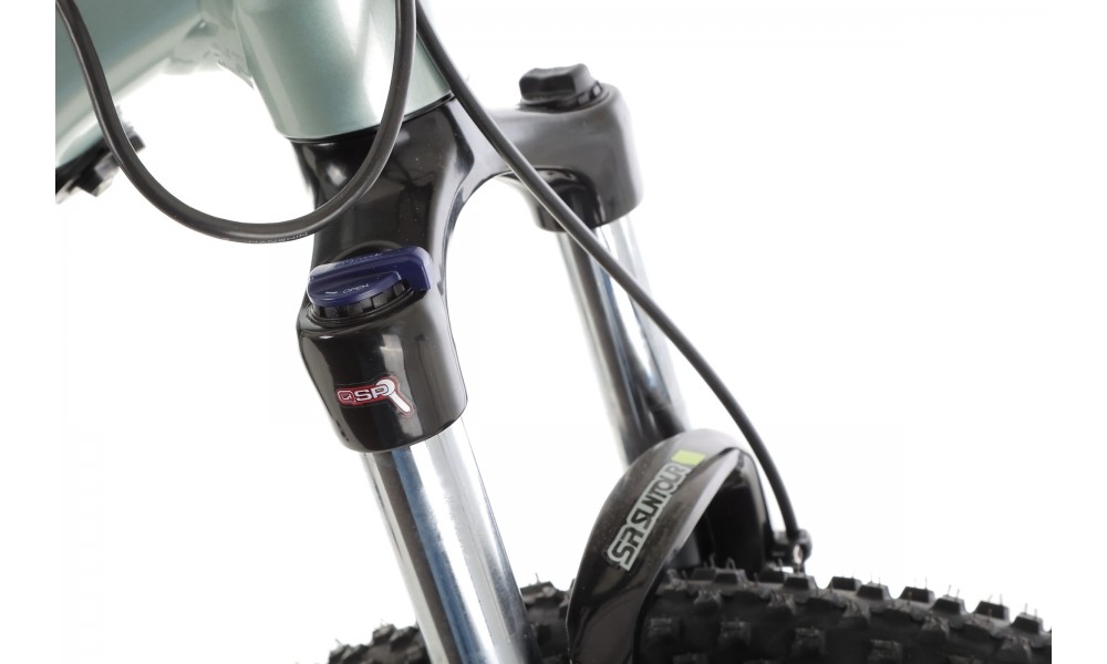 Rower górski elektryczny R-Raymon HardRay E 5.0 29 Yamaha - zielono-czarny