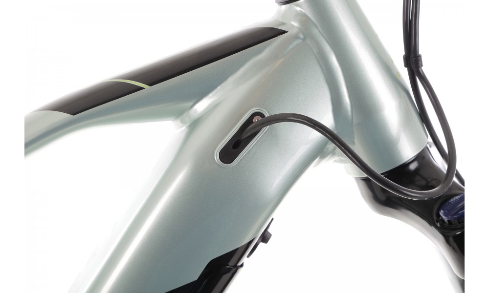 Rower górski elektryczny R-Raymon HardRay E 5.0 29 Yamaha - zielono-czarny