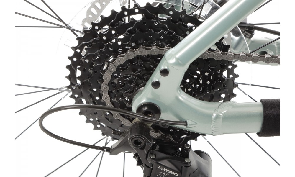 Rower górski elektryczny R-Raymon HardRay E 5.0 29 Yamaha - zielono-czarny