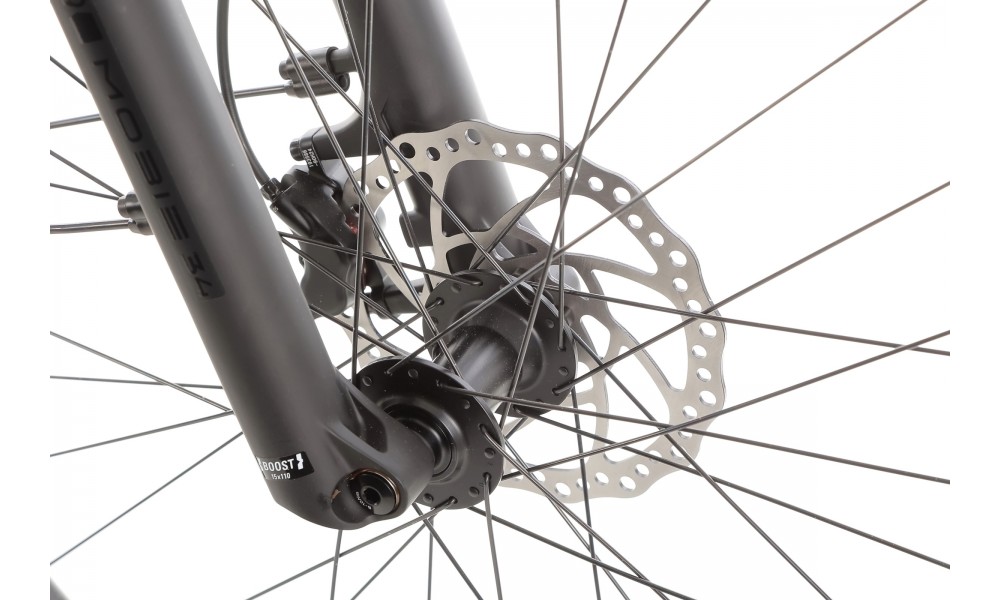 Rower trekkingowy elektryczny R Raymon Tahona Pro Diamond 2025 - zielony