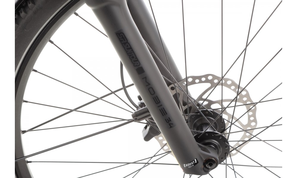 Rower trekkingowy elektryczny R Raymon Tahona Pro Diamond 2025 - zielony