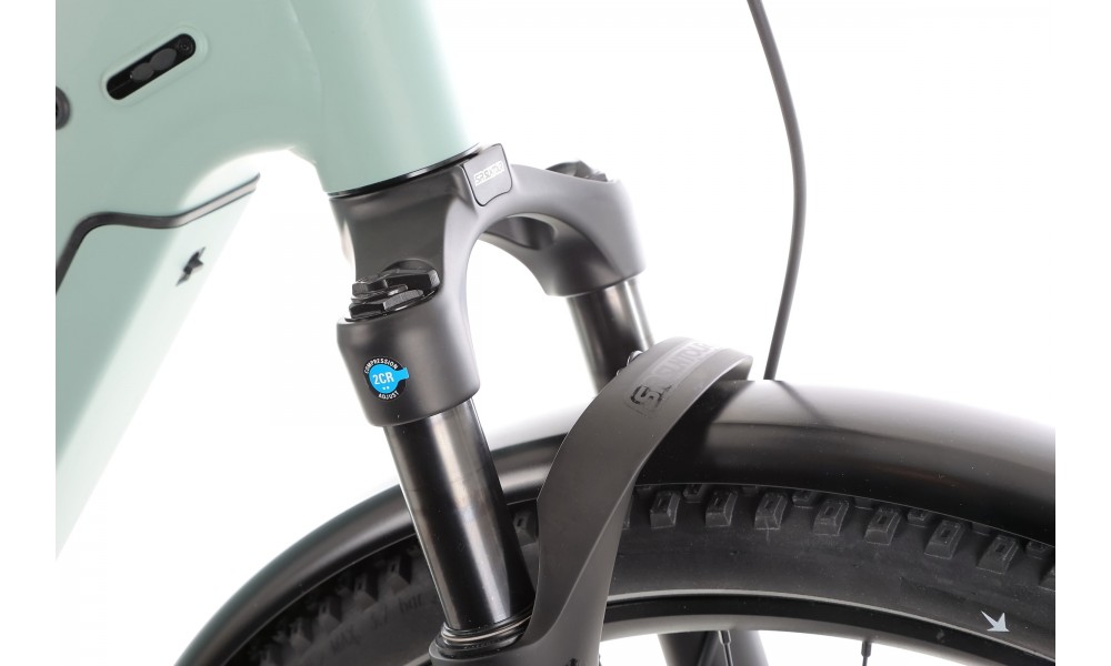 Rower trekkingowy elektryczny R Raymon Tahona Pro Diamond 2025 - zielony