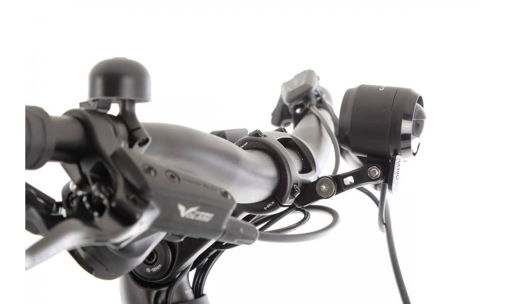 Rower trekkingowy elektryczny R Raymon Tahona Pro Diamond 2025 - zielony