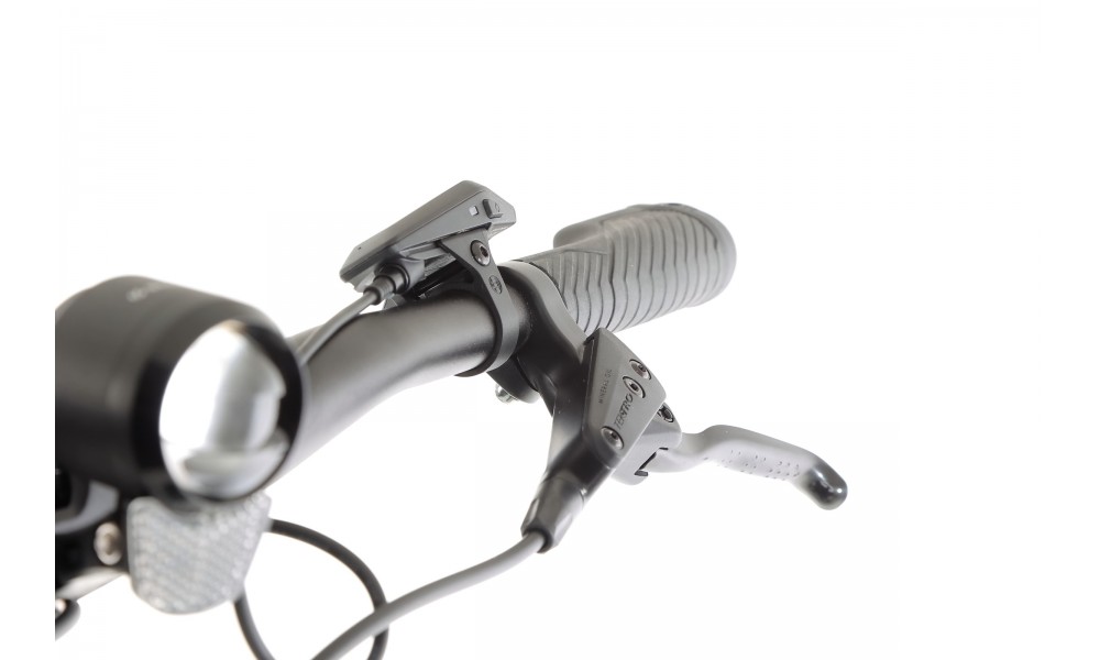 Rower trekkingowy elektryczny R Raymon Tahona Pro Diamond 2025 - zielony