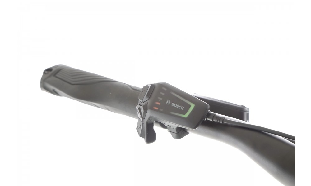 Rower trekkingowy elektryczny R Raymon Tahona Pro Diamond 2025 - zielony