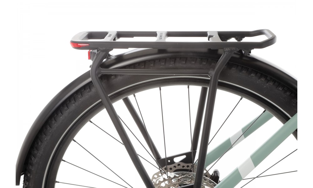 Rower trekkingowy elektryczny R Raymon Tahona Pro Diamond 2025 - zielony