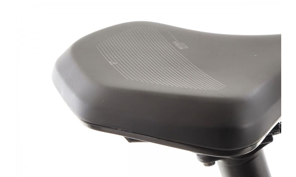 Rower trekkingowy elektryczny R Raymon Tahona Pro Diamond 2025 - zielony