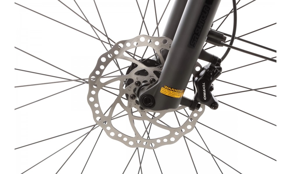 Rower trekkingowy elektryczny R Raymon Tahona Pro Diamond 2025 - zielony