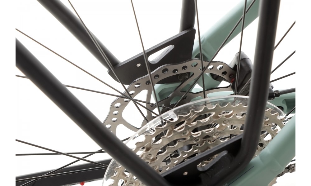 Rower trekkingowy elektryczny R Raymon Tahona Pro Diamond 2025 - zielony