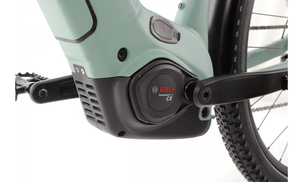 Rower trekkingowy elektryczny R Raymon Tahona Pro Diamond 2025 - zielony