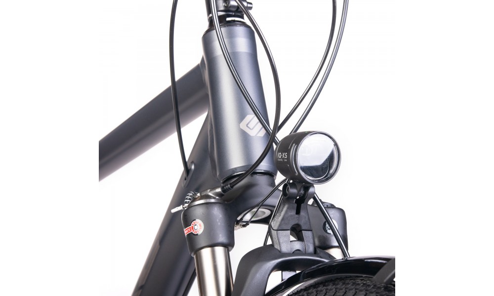 Rower trekingowy Unibike Globetrotter Lady 2025 - szary