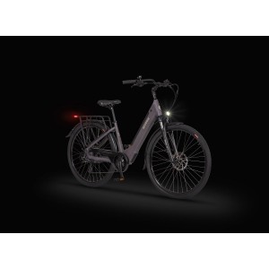 Rower trekkingowy elektryczny Ecobike X-City Coffee - coffee 2