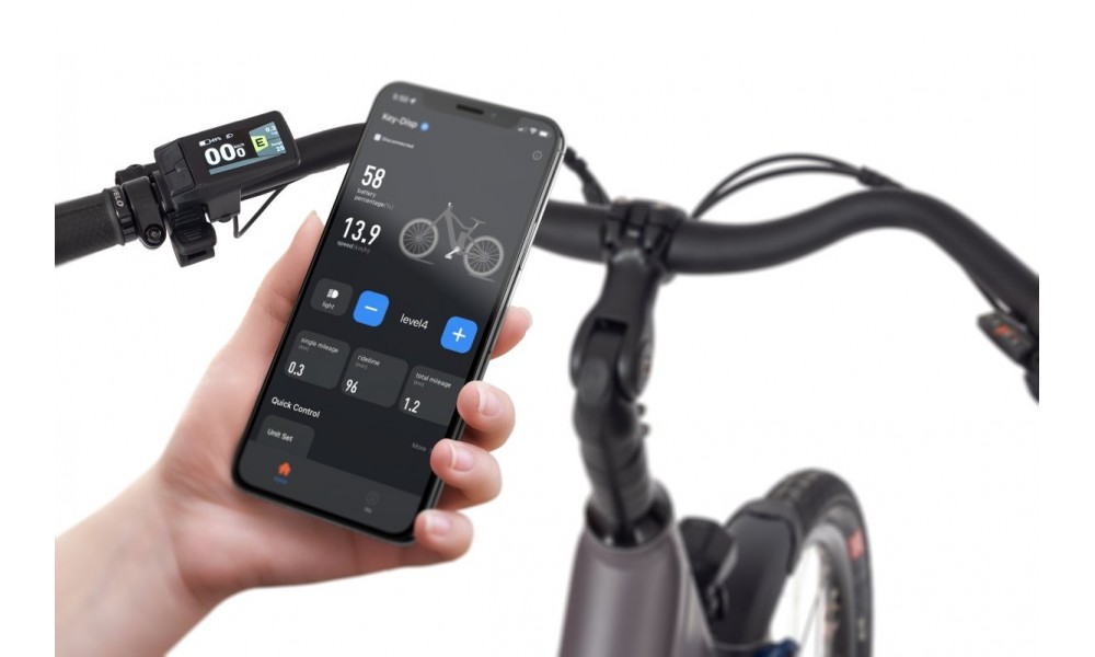 Rower trekkingowy elektryczny Ecobike X-City Coffee - coffee