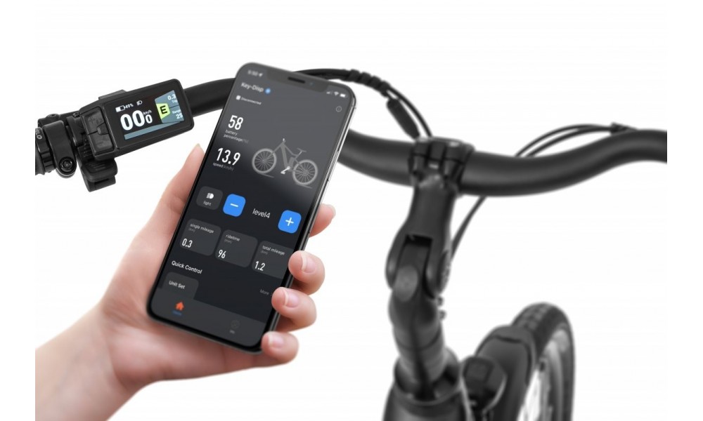 Rower trekkingowy elektryczny Ecobike X-City Black - czarny