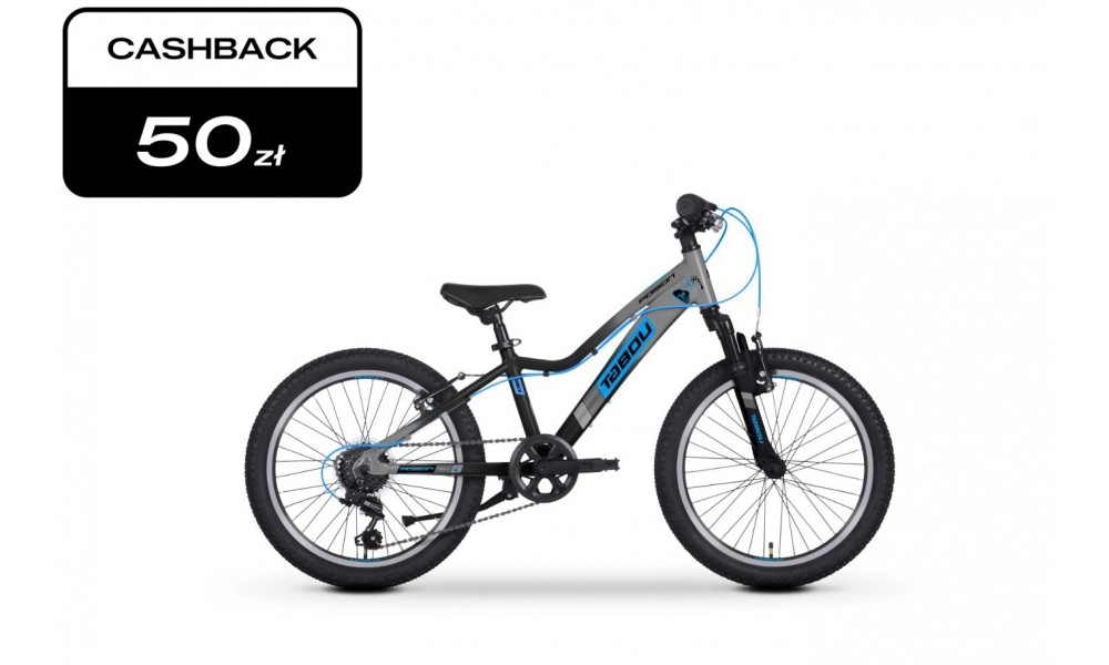 Rower dziecięcy Tabou Poison 20 025 - szaro-niebieski