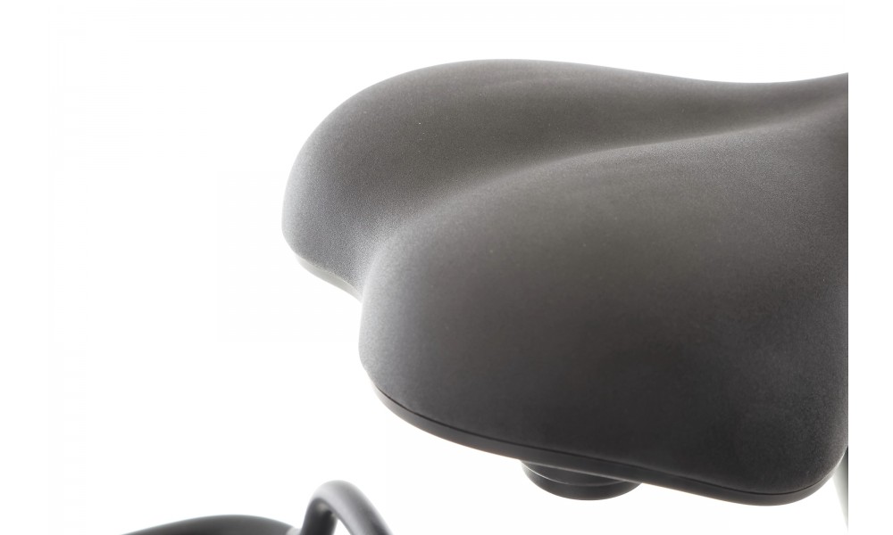 Rower miejski elektryczny ProEco by Romet Wave AN 1.0 2025 SHIMANO HYDRAULIC DISC - brązowy