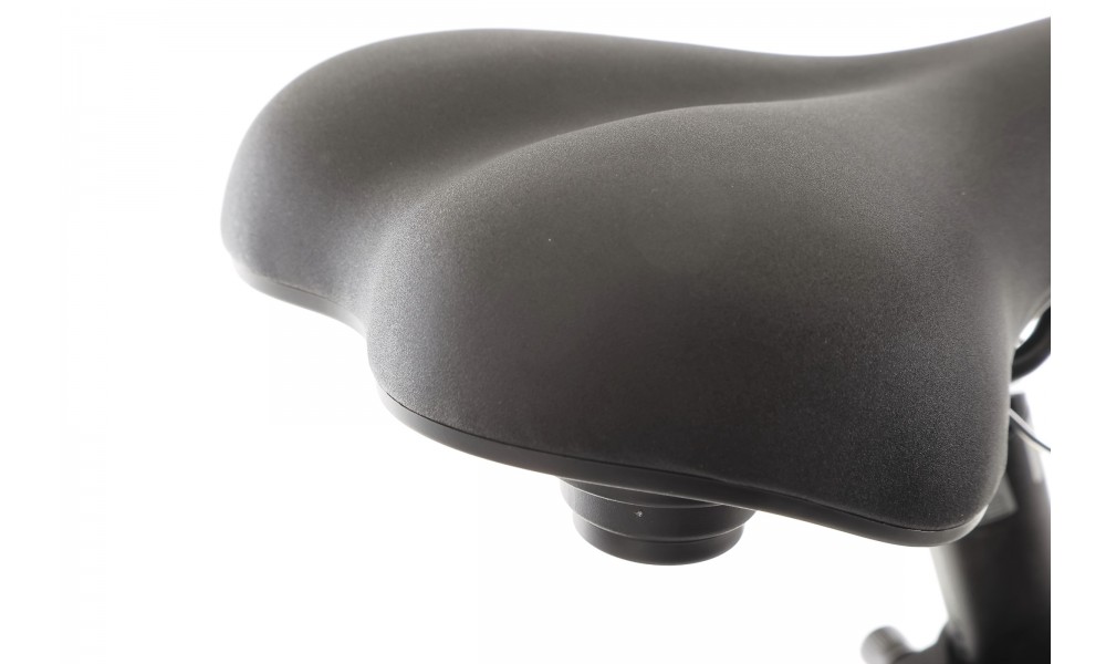 Rower miejski elektryczny ProEco by Romet Wave AN 1.0 2025 SHIMANO HYDRAULIC DISC - szampański