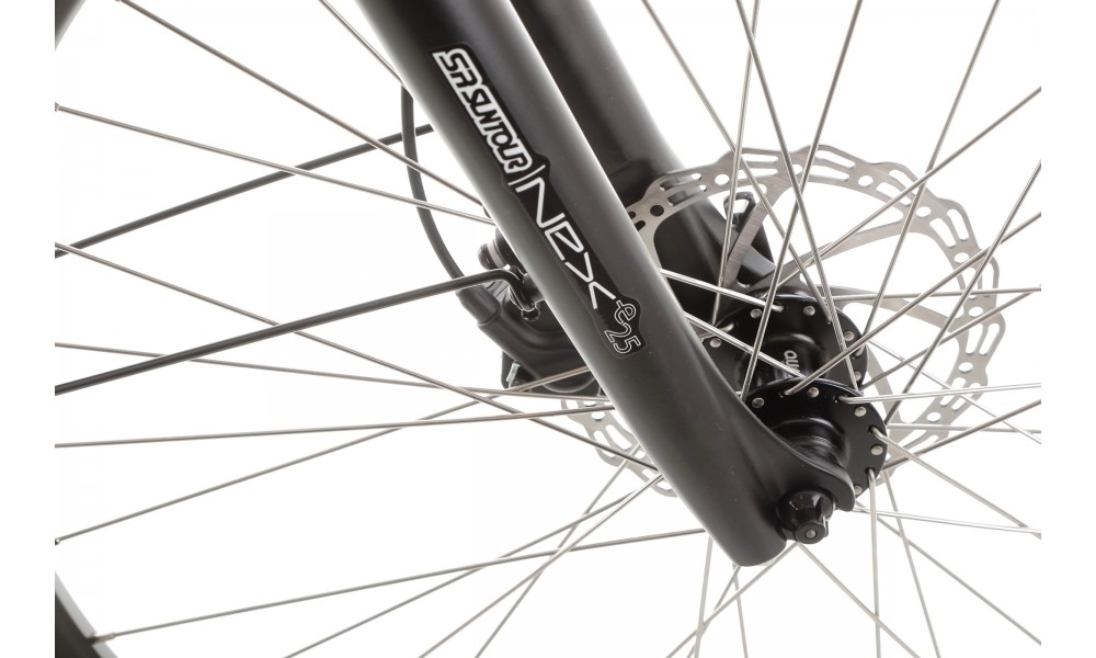 Rower trekkingowy elektryczny Ecobike LX100 Black - czarny