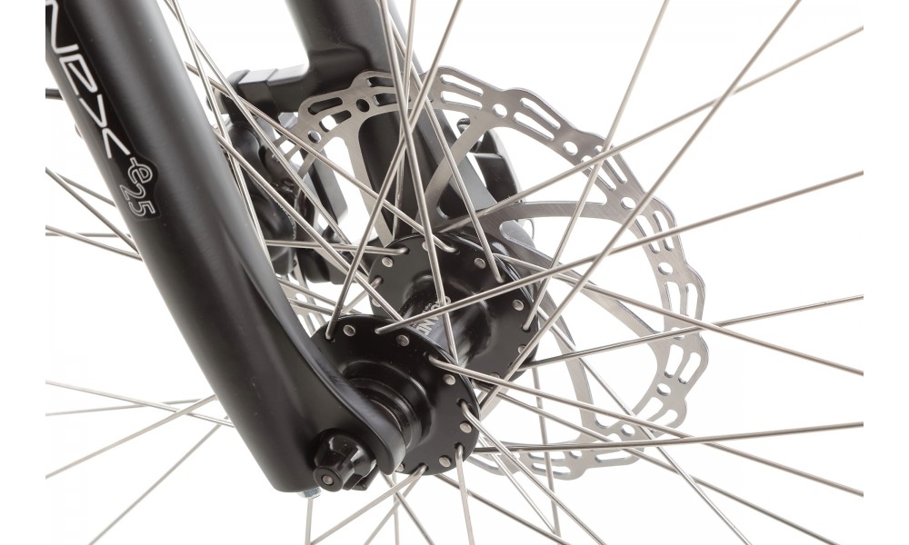 Rower trekkingowy elektryczny Ecobike LX100 Black - czarny