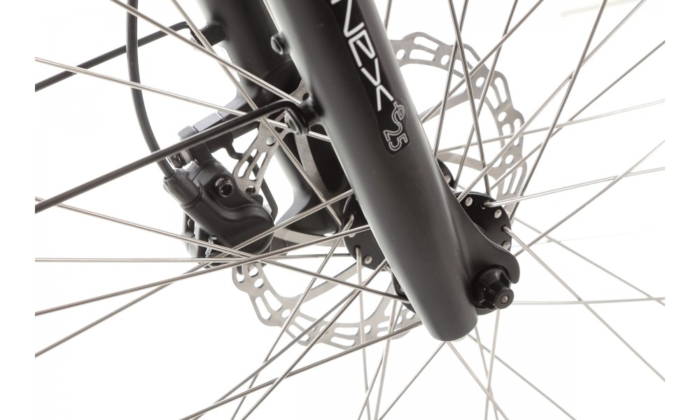 Rower trekkingowy elektryczny Ecobike LX100 Black - czarny