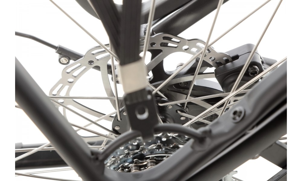 Rower trekkingowy elektryczny Ecobike LX100 Black - czarny