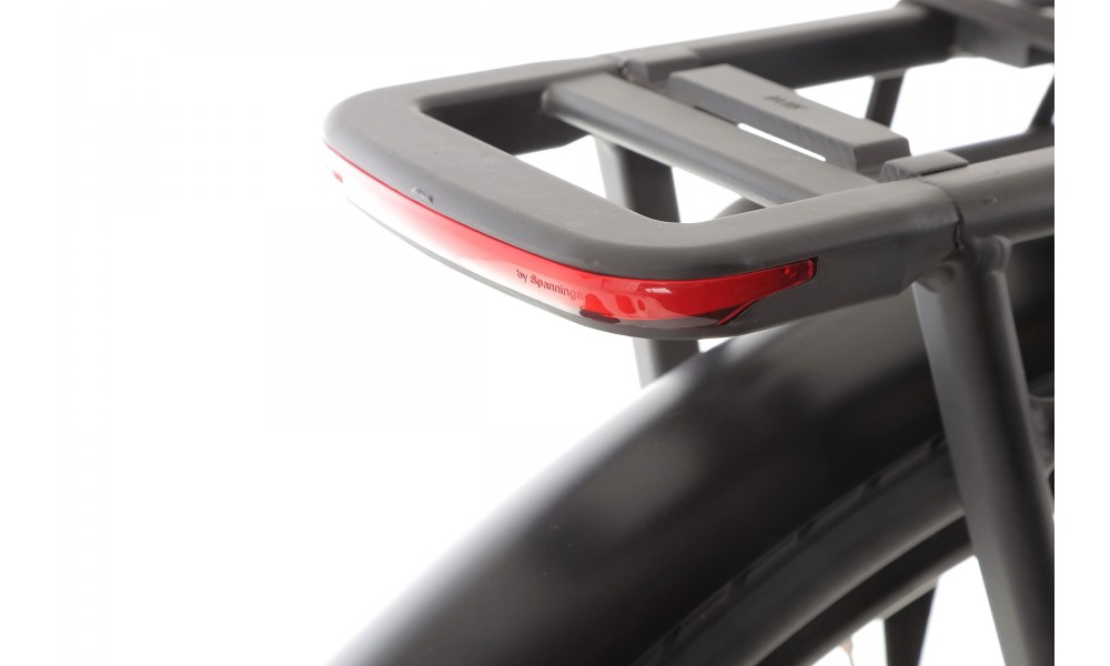 Rower trekkingowy elektryczny Ecobike LX100 Black - czarny