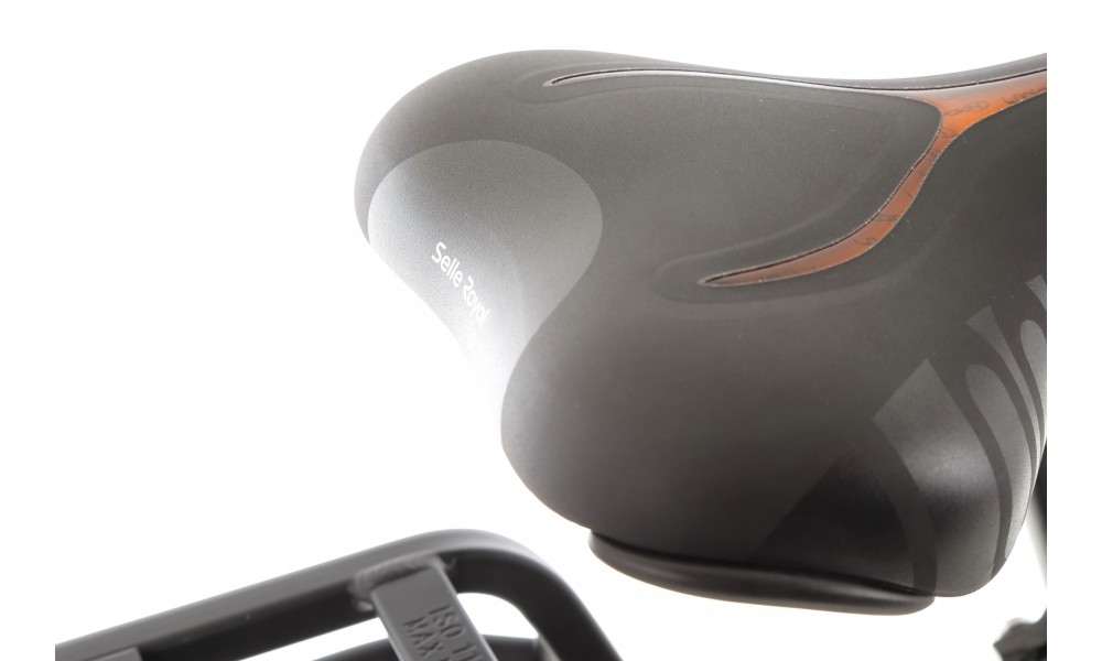 Rower trekkingowy elektryczny Ecobike LX100 Black - czarny