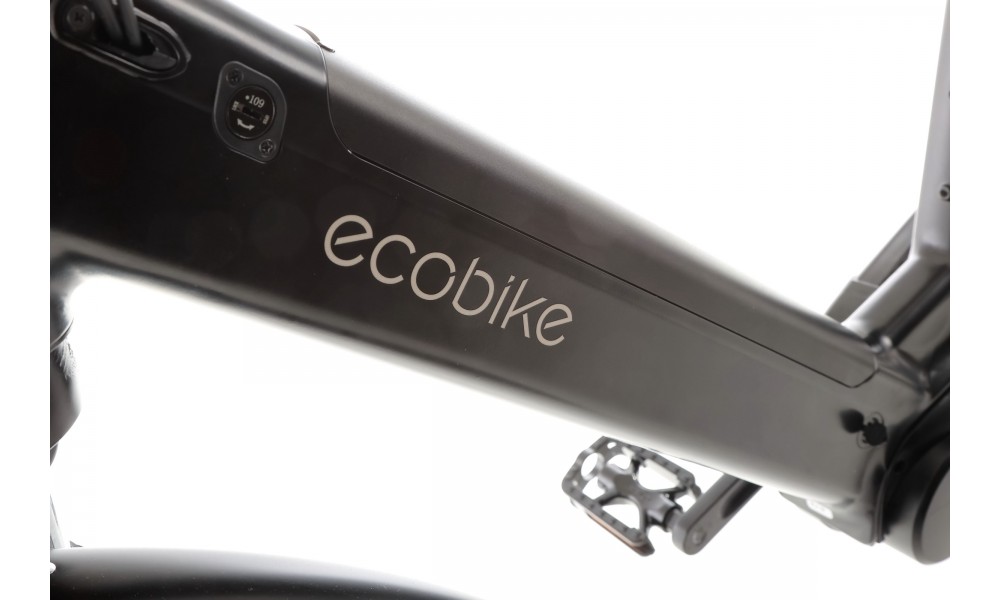 Rower trekkingowy elektryczny Ecobike LX100 Black - czarny