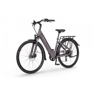 Rower trekkingowy elektryczny Ecobike X-City - coffee 2