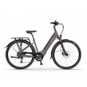 Rower trekkingowy elektryczny Ecobike X-City - coffee 1