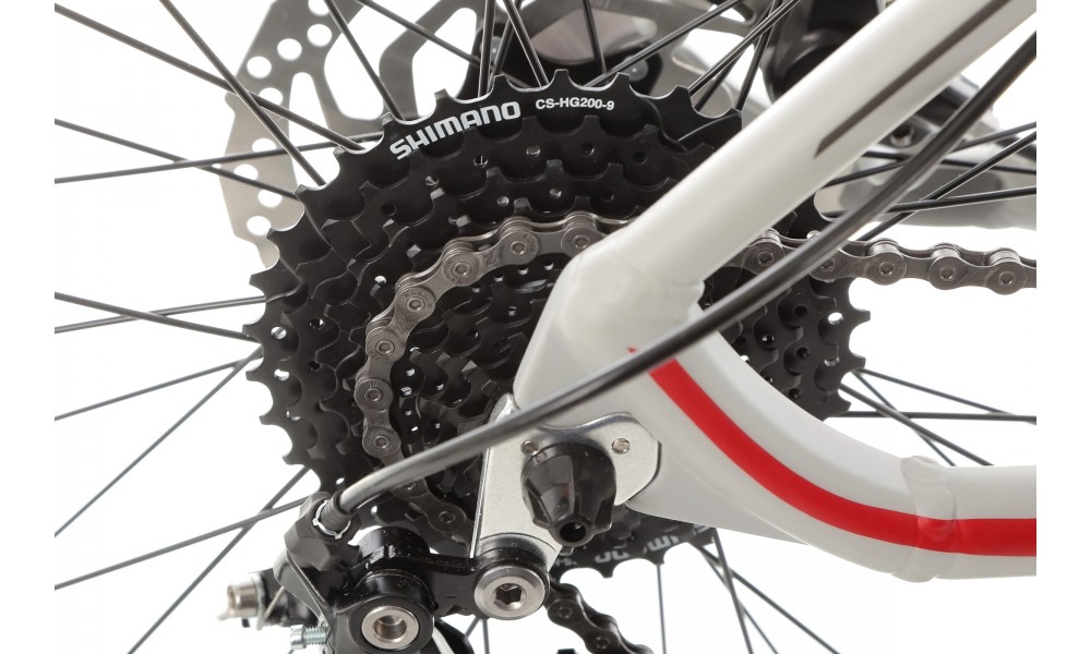 Rower górski Romet Mustang M2 2024 - szaro-czerwony