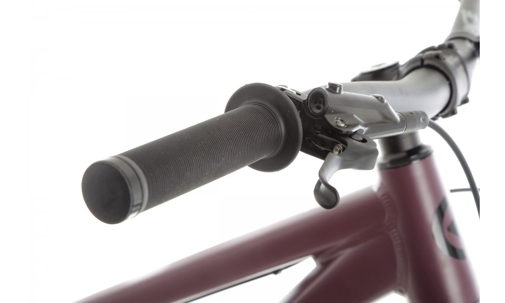 Rower górski Kellys Whip 70 - fioletowy