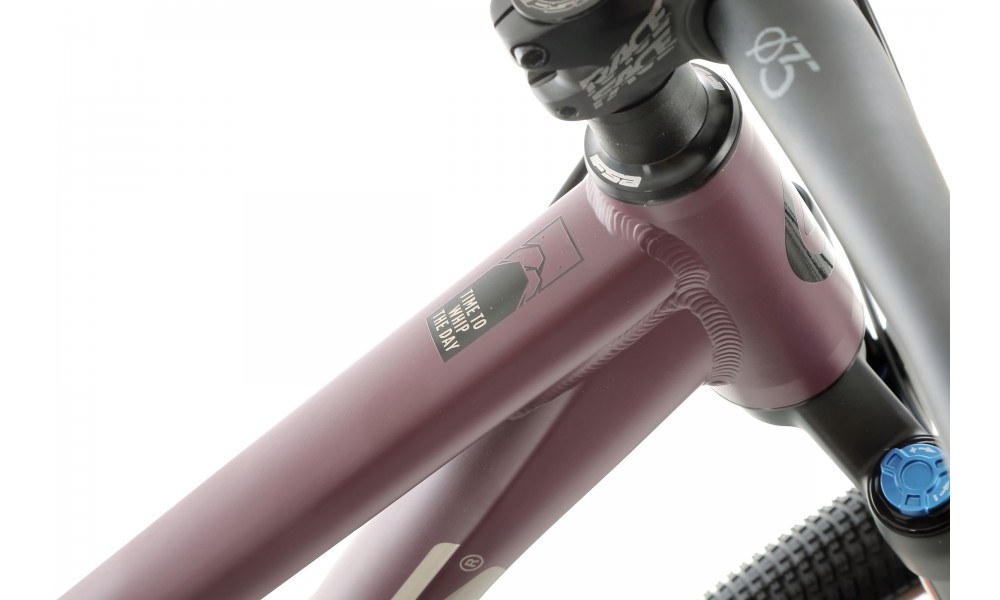 Rower górski Kellys Whip 70 - fioletowy