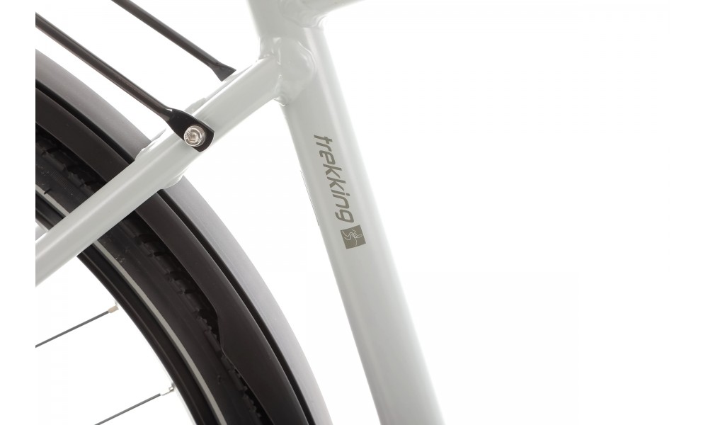 Rower trekkingowy Romet Wagant 9 - szary