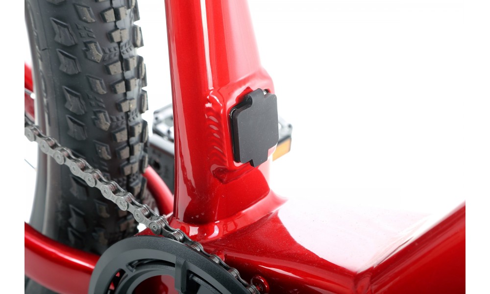 Rower górski elektryczny R-Raymon HardRay E 4.0 29 Yamaha - czerwony