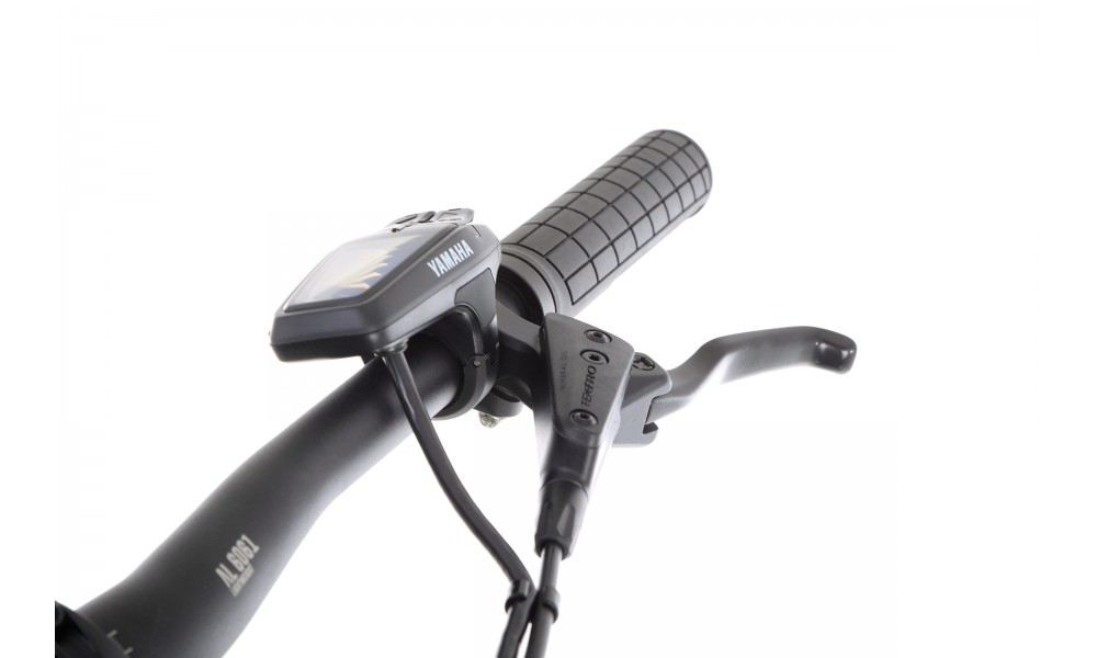 Rower górski elektryczny R-Raymon HardRay E 4.0 29 Yamaha - zielony