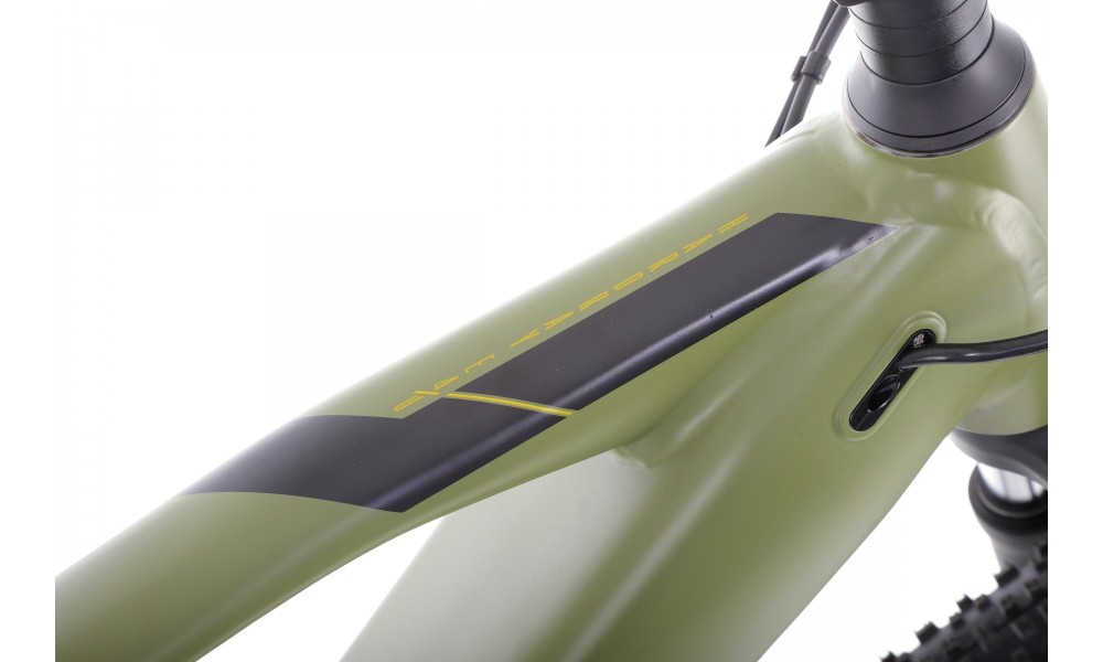 Rower górski elektryczny R-Raymon HardRay E 4.0 29 Yamaha - zielony