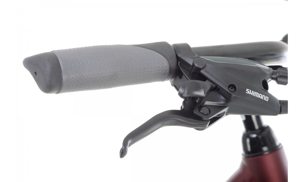 Rower trekkingowy Romet Gazela 6 - bordowo-różowy