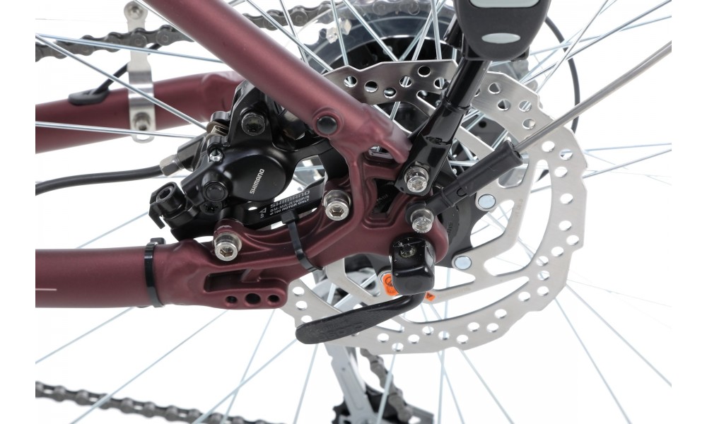 Rower trekkingowy Romet Gazela 6 - brązowo-szampański