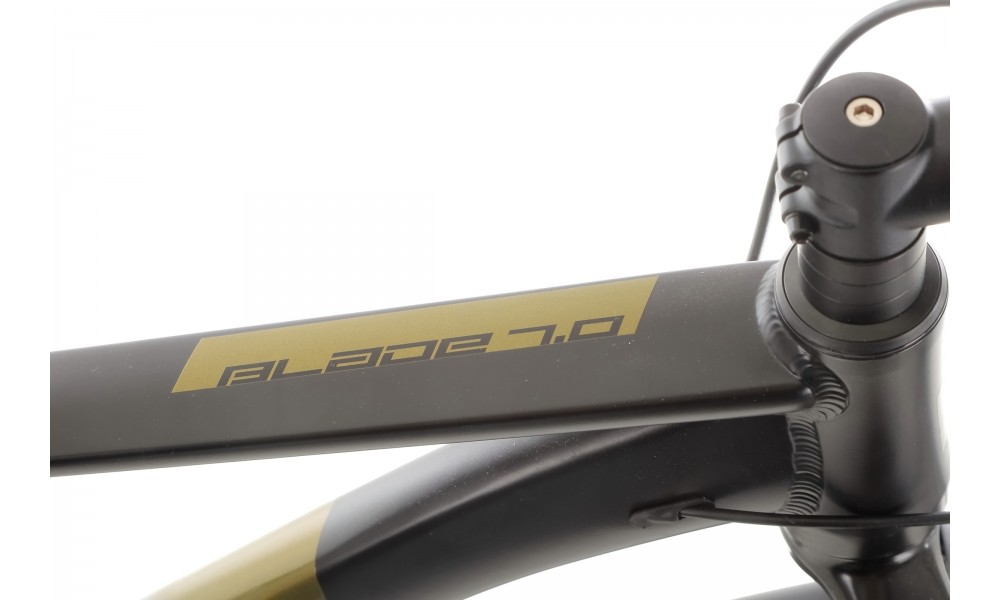 Rower górski Tabou Blade 29 7.0 - czarno-złoty