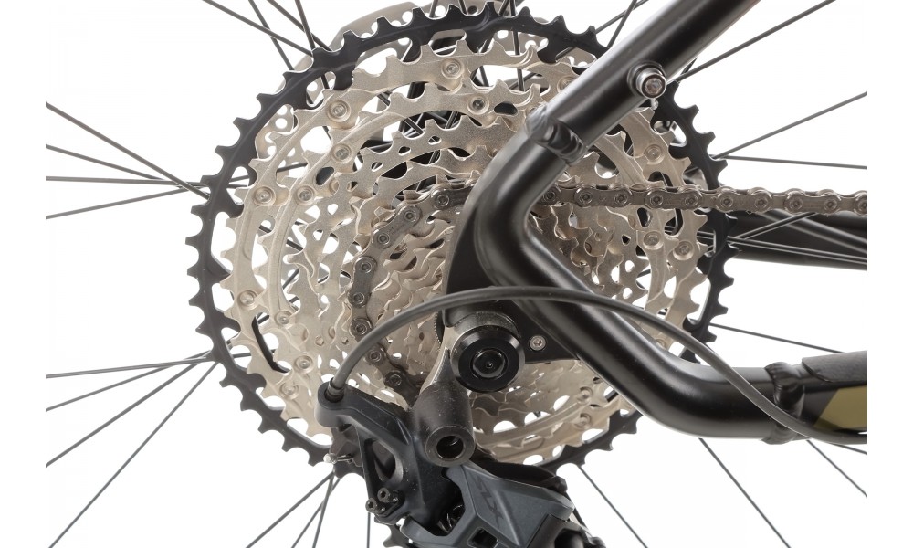 Rower górski Tabou Blade 29 7.0 - czarno-złoty