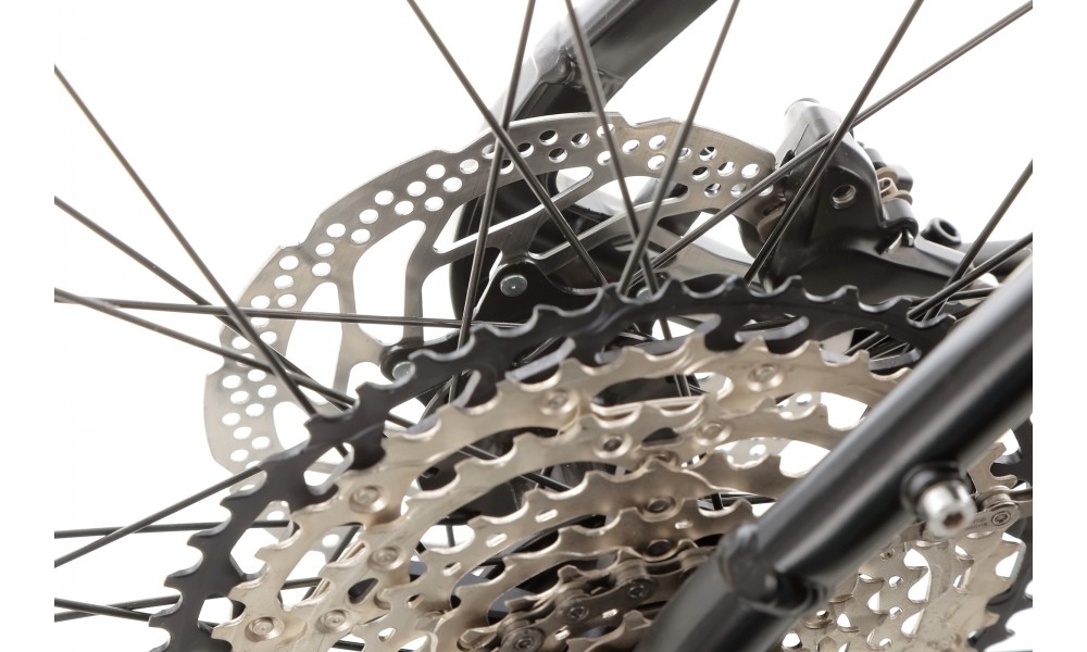 Rower górski Tabou Blade 29 7.0 - czarno-złoty