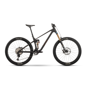 Rower górski R-Raymon Rokua 170 Ultra - szary 1