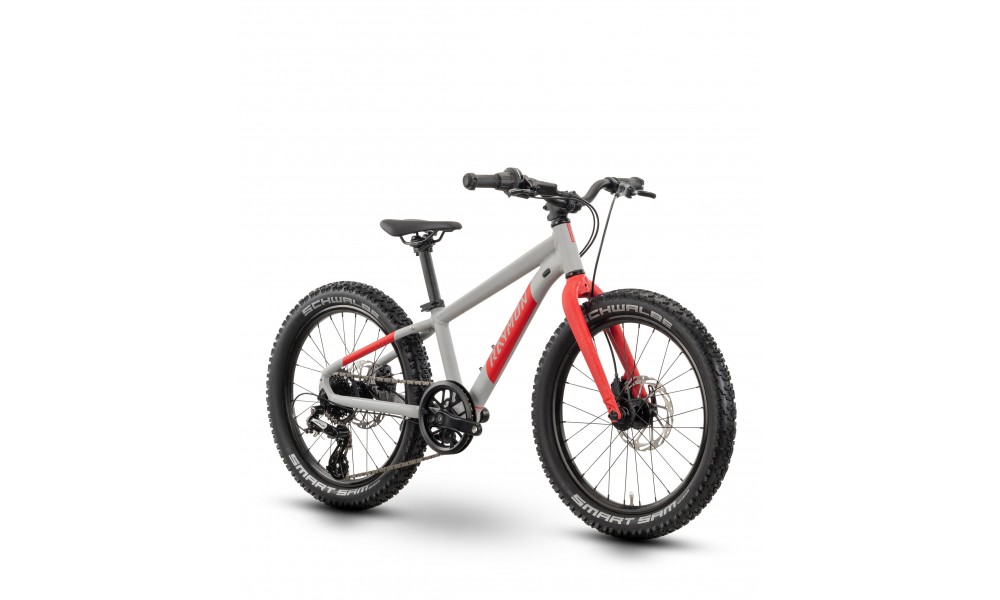 Rower dzięcięcy R-Raymon Yanga 20 Pro - szaro-czerwony