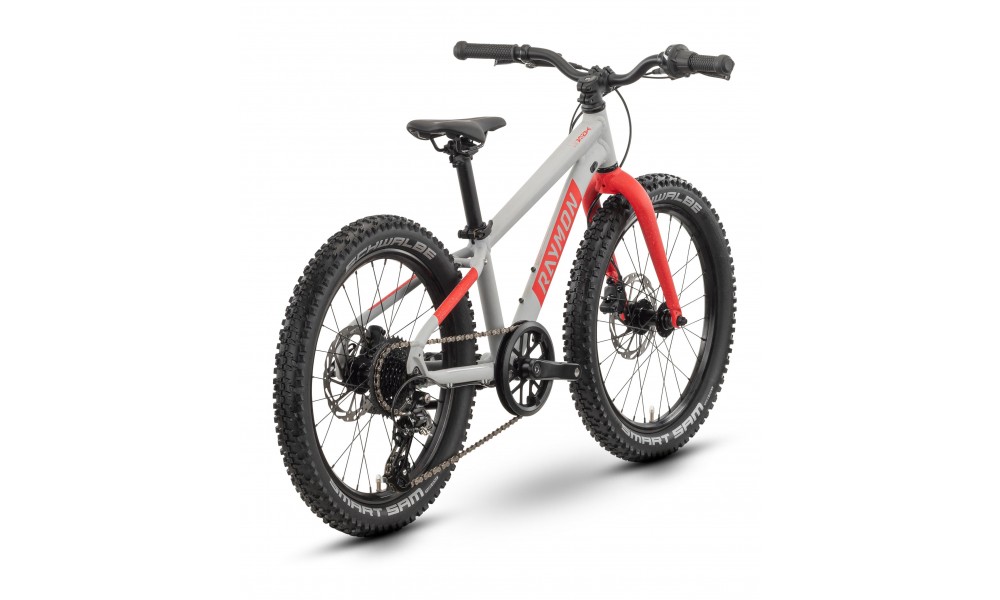 Rower dzięcięcy R-Raymon Yanga 20 Pro - szaro-czerwony