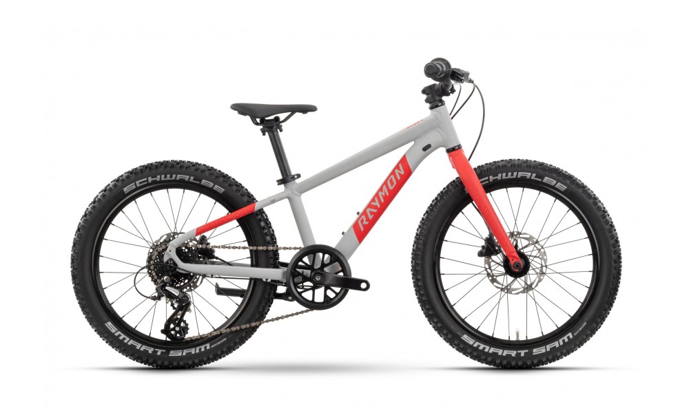 Rower dzięcięcy R-Raymon Yanga 20 Pro - szaro-czerwony