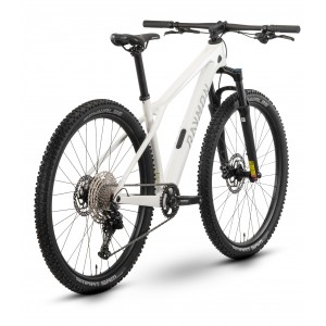 Rower górski R-Raymon Arid - biały 2